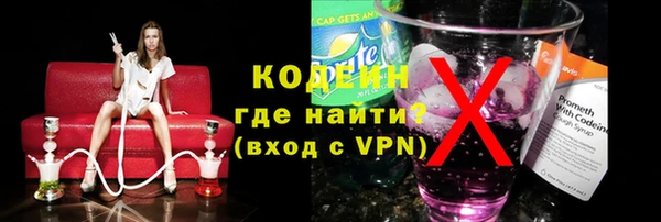 крисы Корсаков