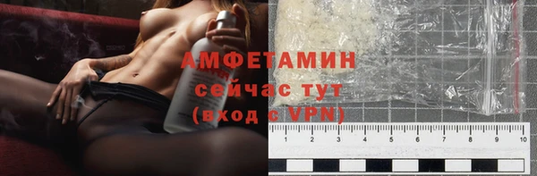 крисы Корсаков
