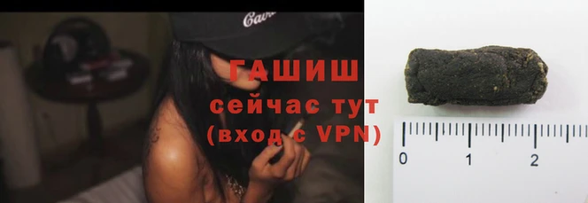 крисы Корсаков