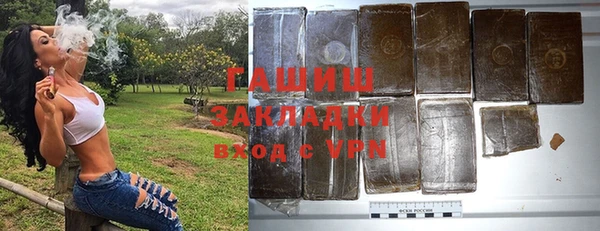 крисы Корсаков