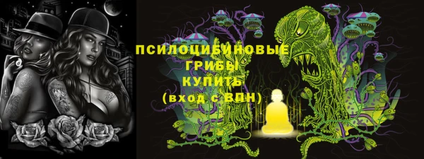 крисы Корсаков