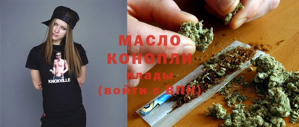 крисы Корсаков