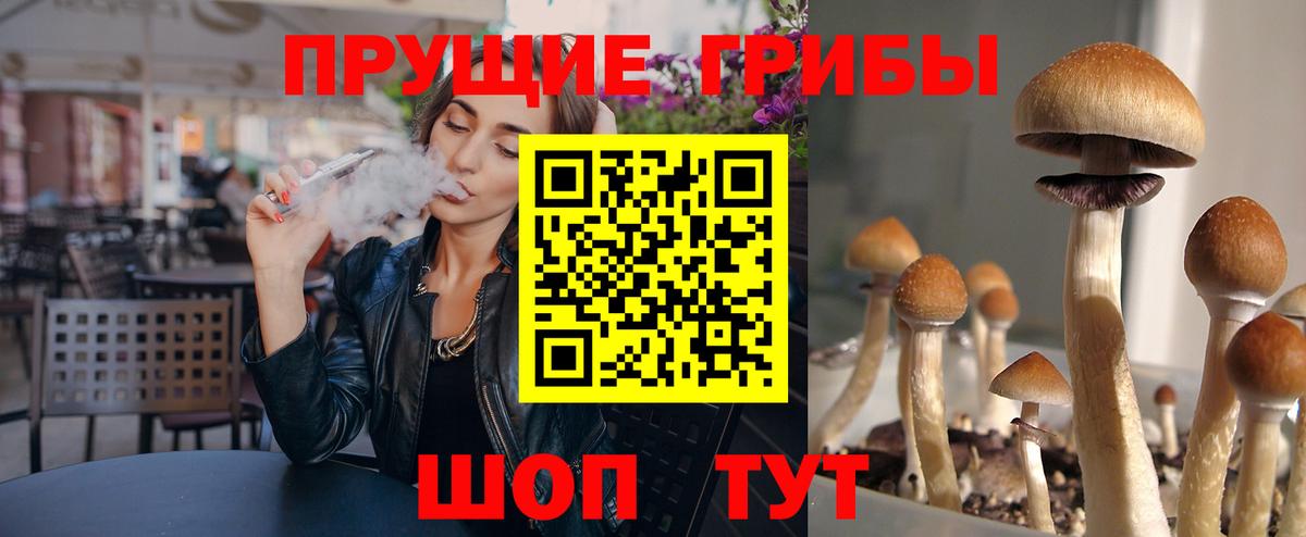 Дмитров  Псилоцибиновые грибы GOLDEN TEACHER  Псилоцибиновые грибы Psilocybine cubensis  цена наркотик  Вход с VPN 